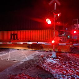 Dennis Lyon Photo 10