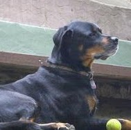 Randy Rogers Photo 5