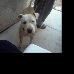 Marcia Peterson Photo 18