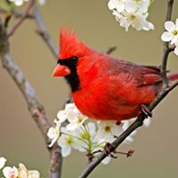 Karen Matthews Photo 34 Karen Matthews Photo 34