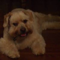 Geraldine Patrick Photo 4