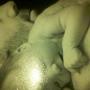 Edward Carr Photo 10