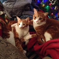 Nancy Hutton Photo 12