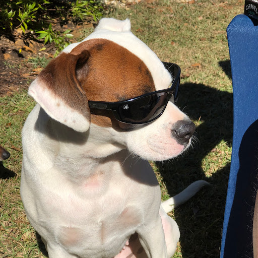 Michael Poore Photo 28 Michael Poore Photo 28