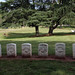 Charles Delaney Photo 6