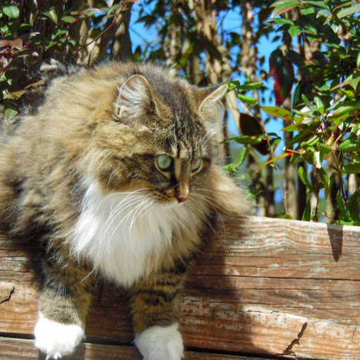 Hope Anderson Photo 17