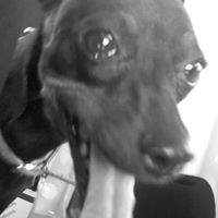 Rick Draper Photo 22