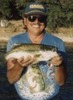 David Willard Photo 7