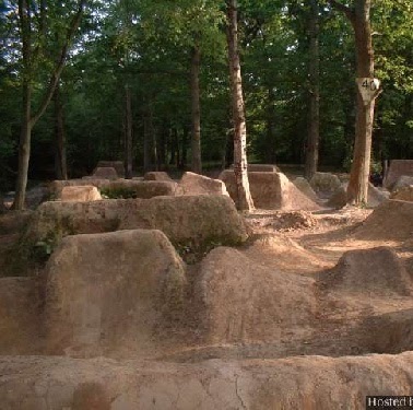 Thomas Glass Photo 12