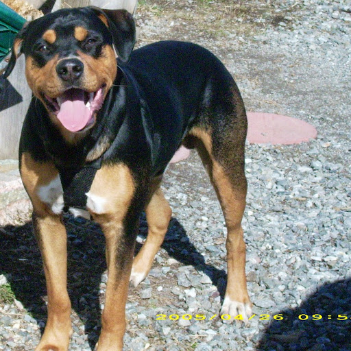 Cindy Horne Photo 27