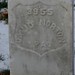 David Norton Photo 13