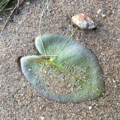 Kate Peters Photo 20