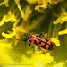 Juan Borrego Photo 10