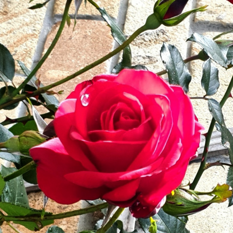 Jill Mahoney Photo 36