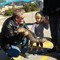 James Mcclellan Photo 33 James Mcclellan Photo 33