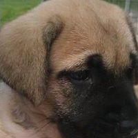 Paula Foltz Photo 11