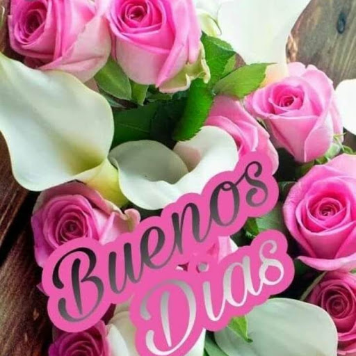 Vicky Wells Photo 16