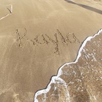 Mark Bonham Photo 17