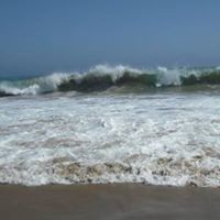 Tracy Dunbar Photo 10
