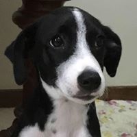 Christine Arndt Photo 11