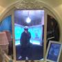 Juan Alatorre Photo 10