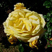 James Kelleher Photo 39
