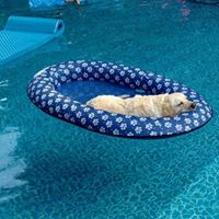 Beverly Hahn Photo 27