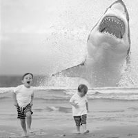 Eileen Browne Photo 21