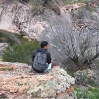 Shalin Patel Photo 20