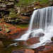 Glen Harrison Photo 16