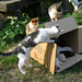 Michael Clever Photo 16