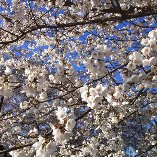 Meghan Bell Photo 11