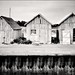 William Graham Photo 3