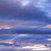 David Carrico Photo 11