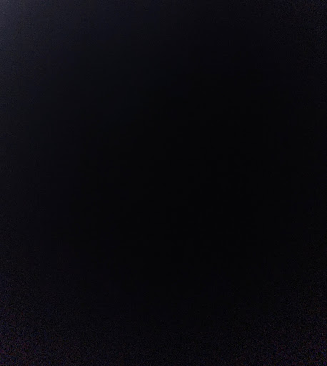 Brandon Merrill Photo 9