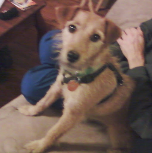 Jacqueline Johnson Photo 42