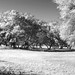 Laura Tuttle Photo 35