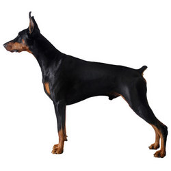 Nathan Simms Photo 26