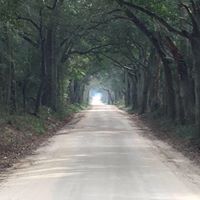 Roger Ward Photo 27 Roger Ward Photo 27