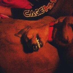 Amber Agee Photo 8
