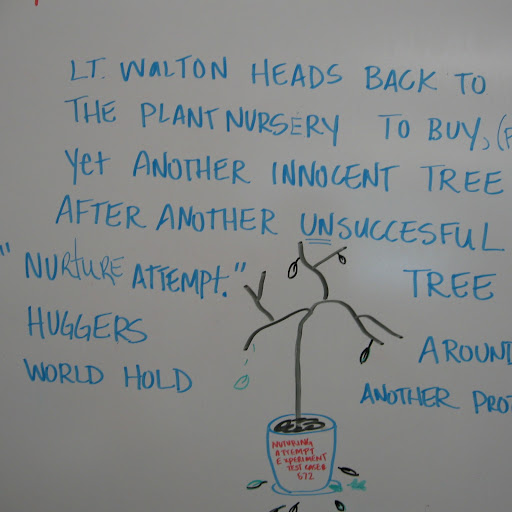 Scott Walton Photo 11