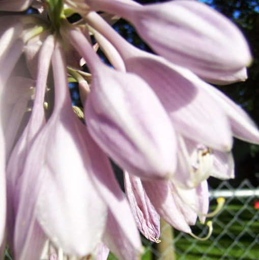 Heidi Robinson Photo 26