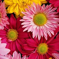 Colleen Keefe Photo 19