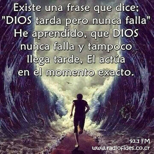 David Quintero Photo 19