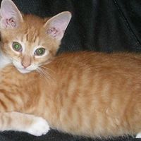 Helen Fowler Photo 12