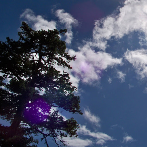 Jason Whitman Photo 18