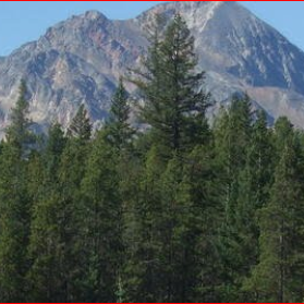 Tammy Rasmussen Photo 8