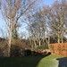 David Irwin Photo 29