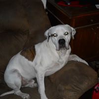 April Phipps Photo 13