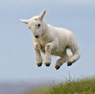 Angel Morgan Photo 37